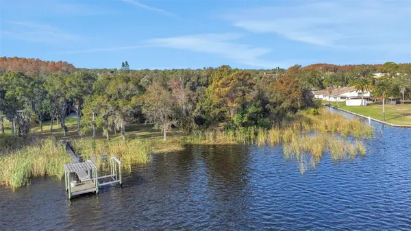 2661 Cyprus Drive, PALM HARBOR, FL 34684