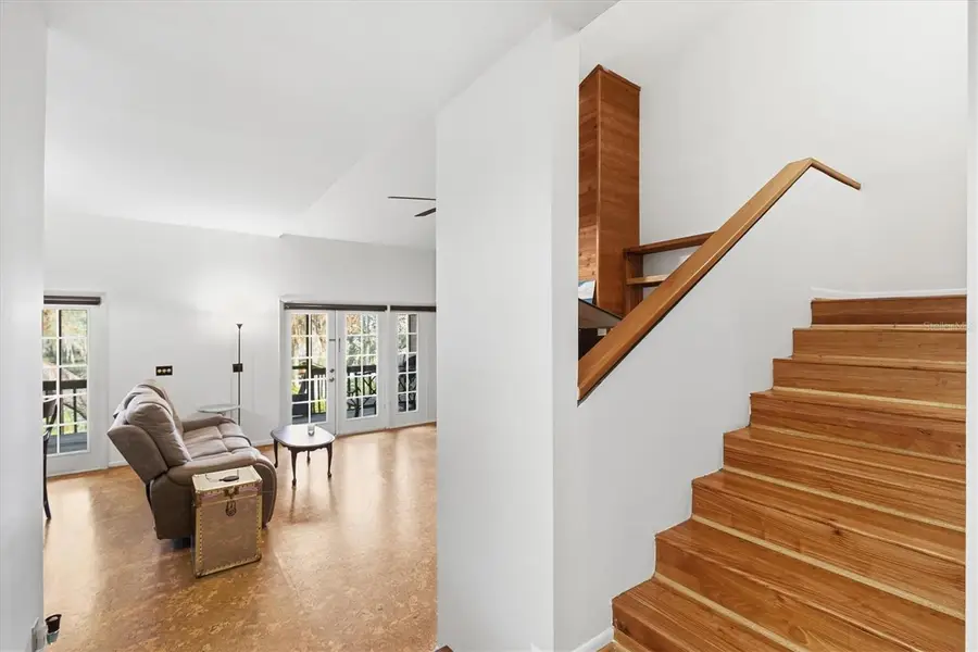 6050 River Trace Road, Tampa, FL 33617 - Image #3