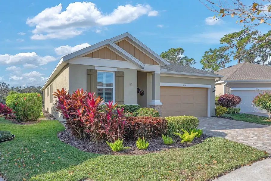 6230 Plover Meadow Street, Lithia, FL 33547 - #2