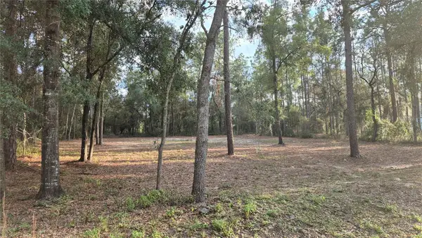 6334 Little Lake Geneva Road, KEYSTONE HEIGHTS, FL 32656