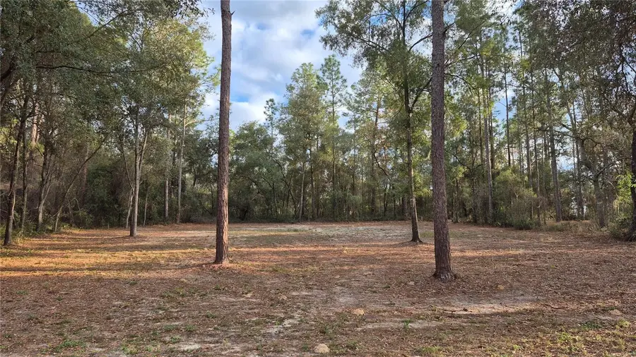 6334 Little Lake Geneva Road, Keystone Heights, FL 32656 - Image #3