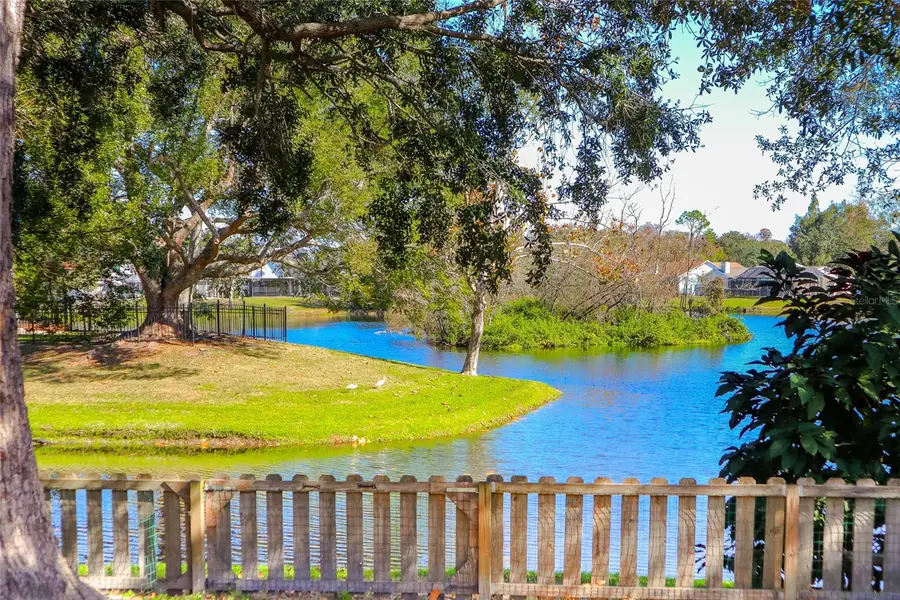 4312 Venice Drive, Land O Lakes, FL 34639 - Image #2