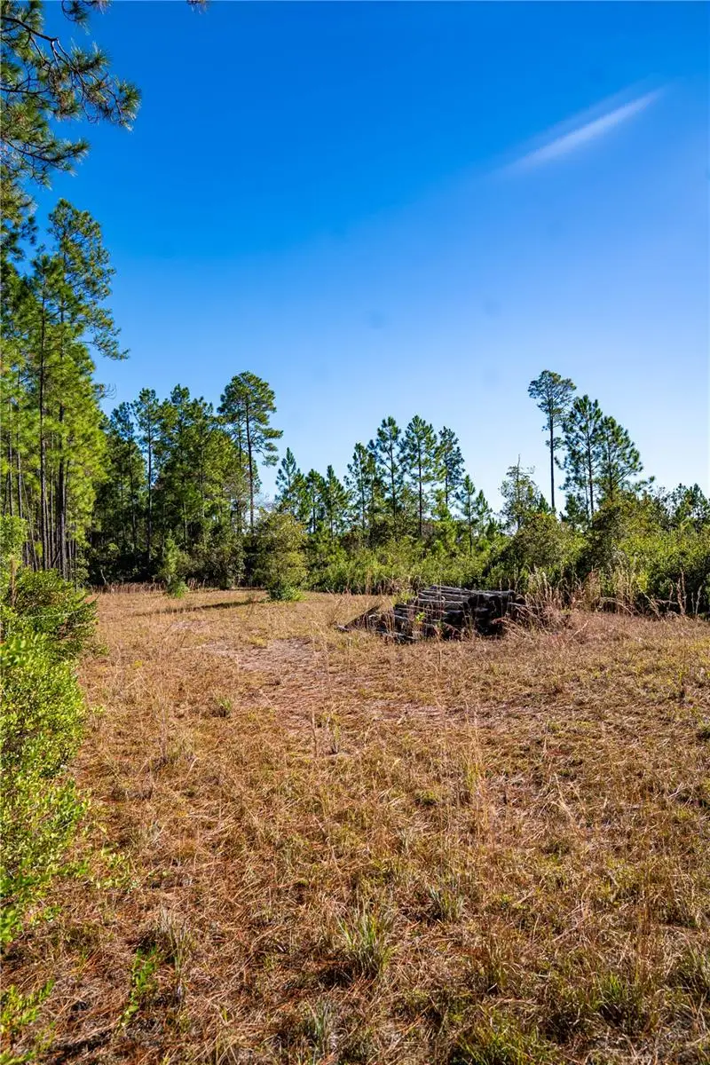 101 Thyme Drive, Interlachen, FL 32148 - Image #1