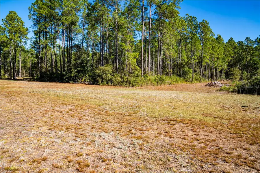 101 Thyme Drive, Interlachen, FL 32148 - Image #3