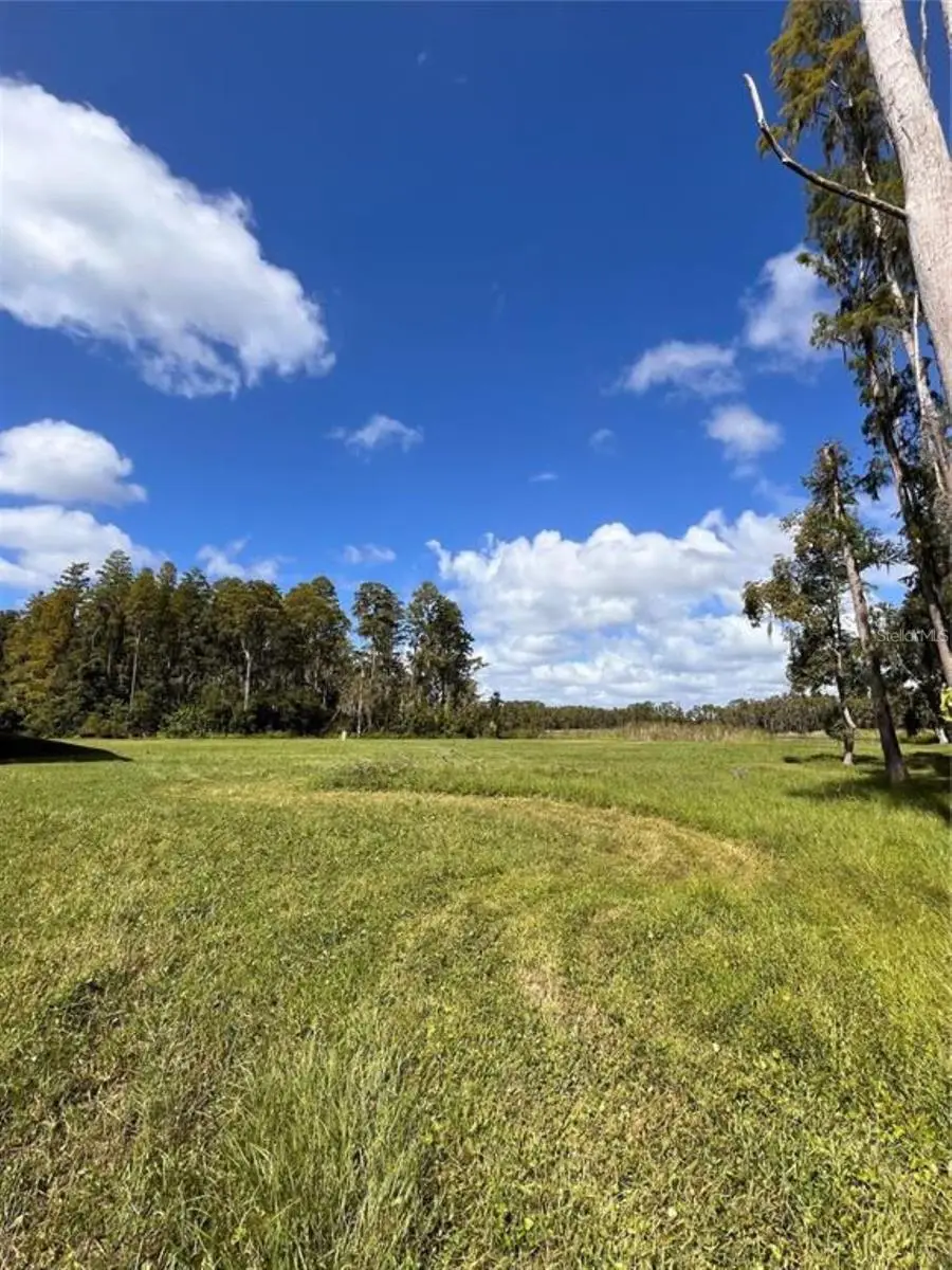 1029 Van Dyke Road, Lutz, FL 33548 - Image #1