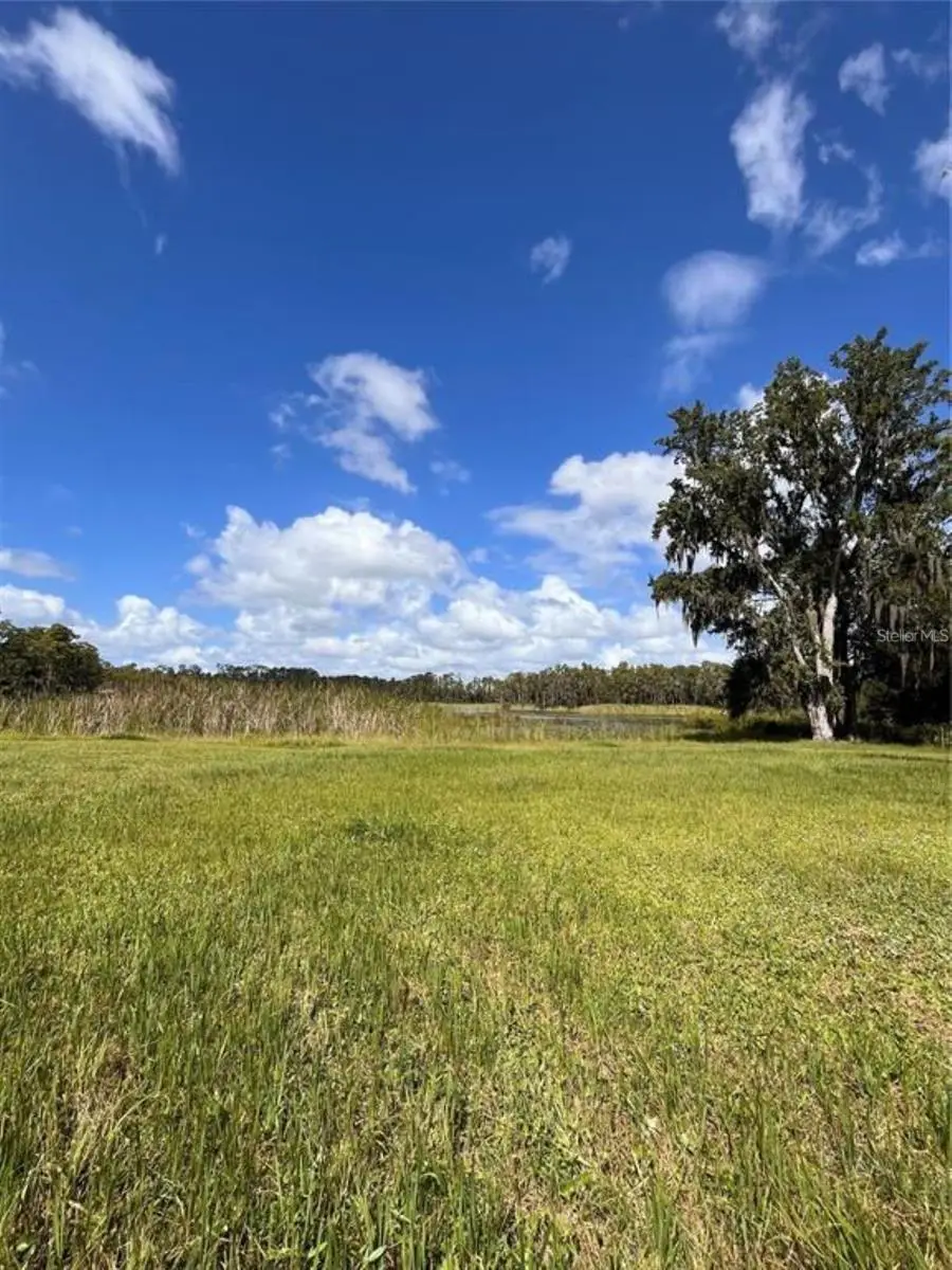 1029 Van Dyke Road, Lutz, FL 33548 - Image #2