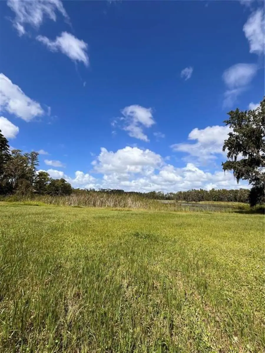 1029 Van Dyke Road, Lutz, FL 33548 - Image #3