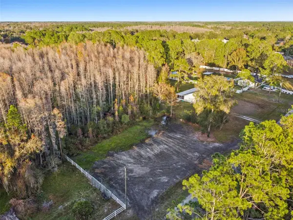 26305 Bluestripe Drive, WESLEY CHAPEL, FL 33544