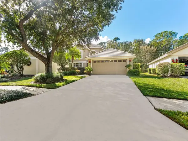 17704\ Nathans Drive, TAMPA, FL 33647