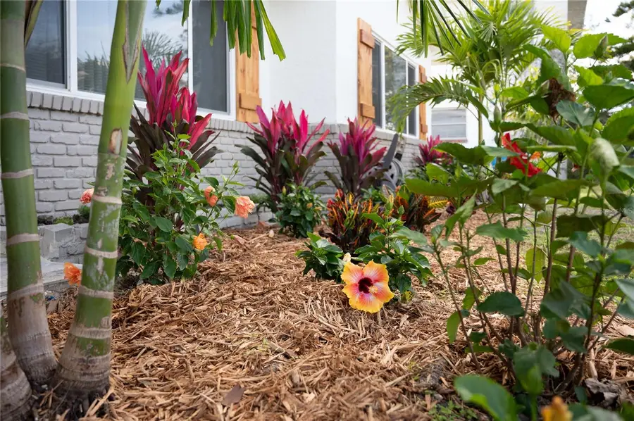 6613 Blue Heron Drive S, Saint Petersburg, FL 33707 - Image #3