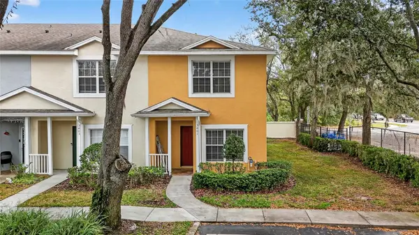 3401 High Hampton Circle, TAMPA, FL 33610