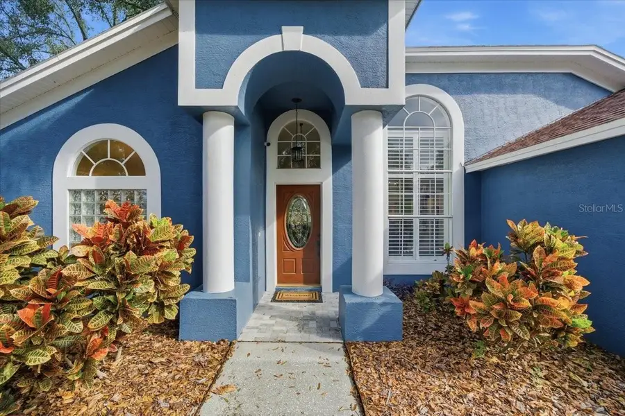 15207 Arbor Hollow Drive, Odessa, FL 33556 - Image #2