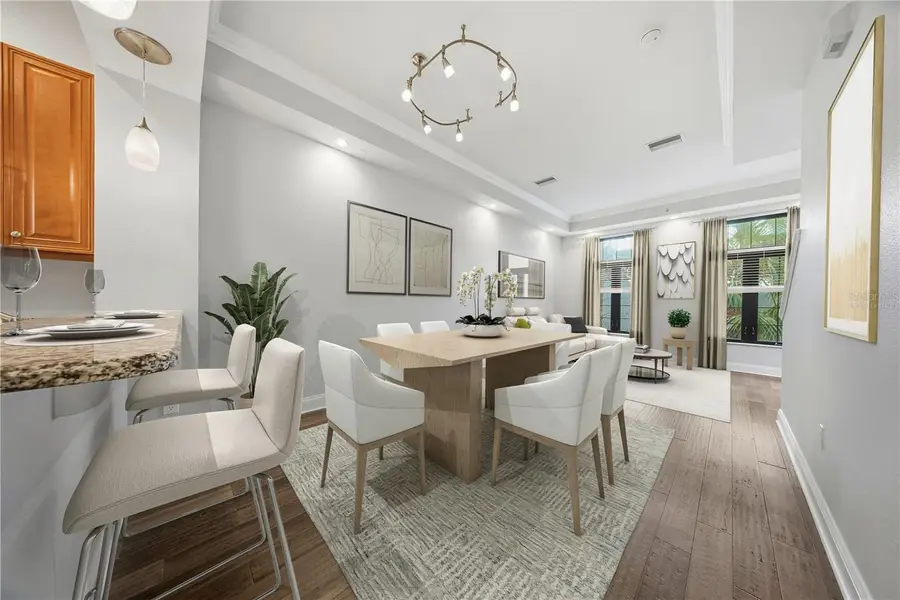 2217 Soho Bay Court, Tampa, FL 33606 - Image #3