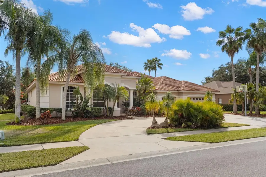 3830 Moreno Drive, Palm Harbor, FL 34685 - Image #2