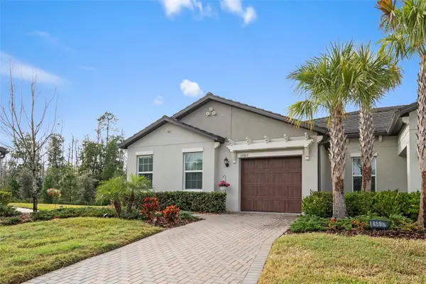 16803 Forge Surf Street, LAND O LAKES, FL 34638
