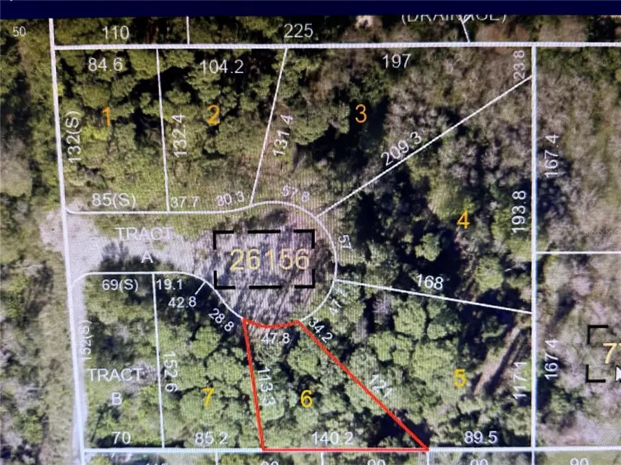 1298 Almaria Court, Palm Harbor, FL 34683 - Image #2