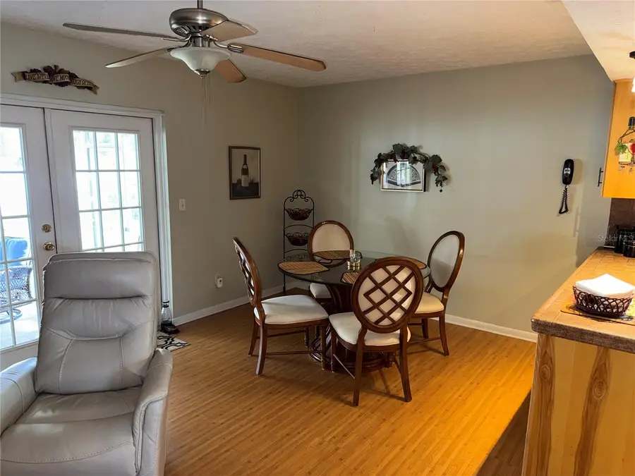 4007 Truman Drive, Seffner, FL 33584 - Image #3