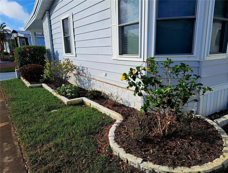 116 Maple Leaf Drive, Palm Harbor, FL 34684 - Image #3