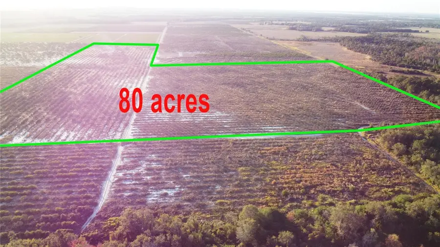 627 Raulerson Road, Frostproof, FL 33843 - Image #3