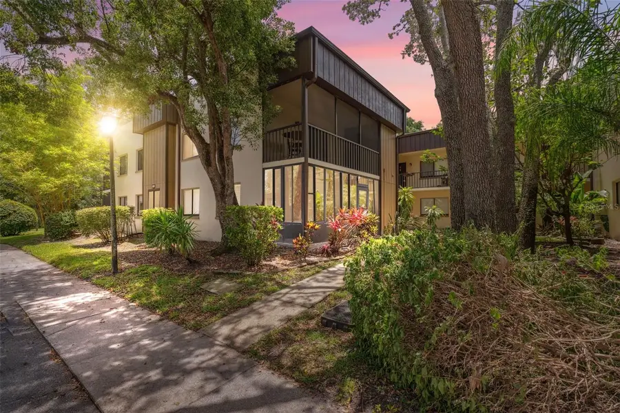 11809 Raintree Lake Lane #A, Tampa, FL 33617 - Image #2