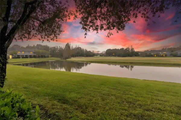 18214 Paradise Point Drive, TAMPA, FL 33647