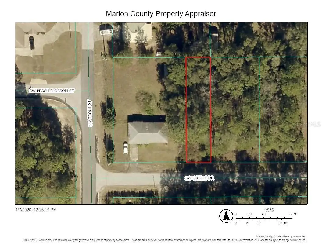 TBD SW Oriole Drive, Dunnellon, FL 34431 - Image #1