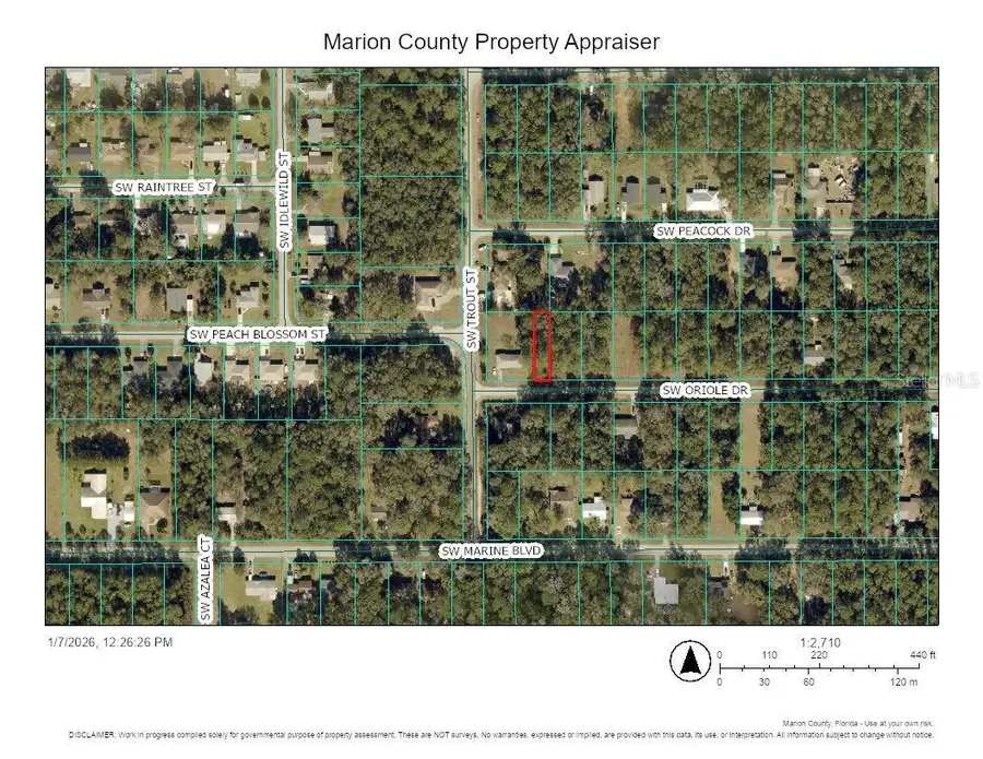 TBD SW Oriole Drive, Dunnellon, FL 34431 - Image #3