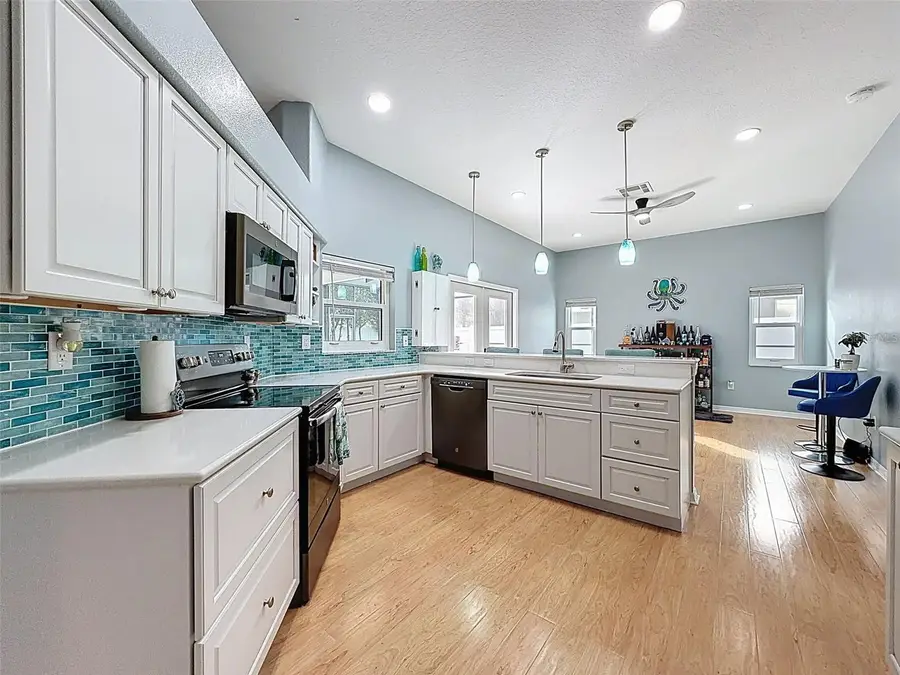 724 Cypress Park Avenue, Tarpon Springs, FL 34689 - Image #2