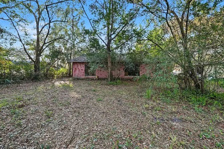 12305 N 53rd Street, Temple Terrace, FL 33617 - Image #2