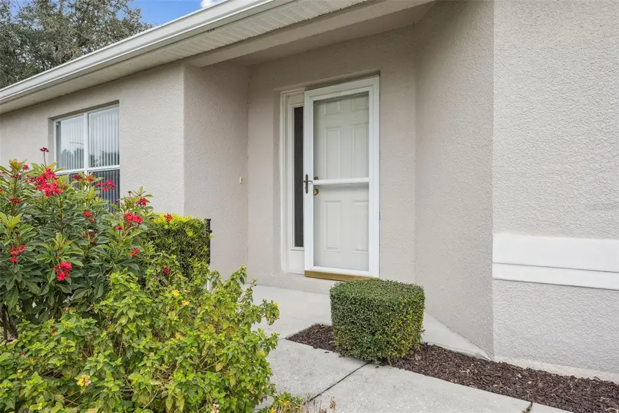 2946 Banyan Hill Lane, Land O Lakes, FL 34639 - Image #3