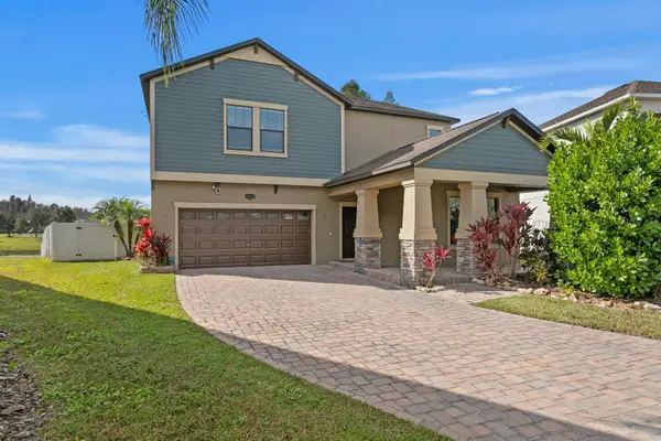 19415 Paddock View Drive, TAMPA, FL 33647