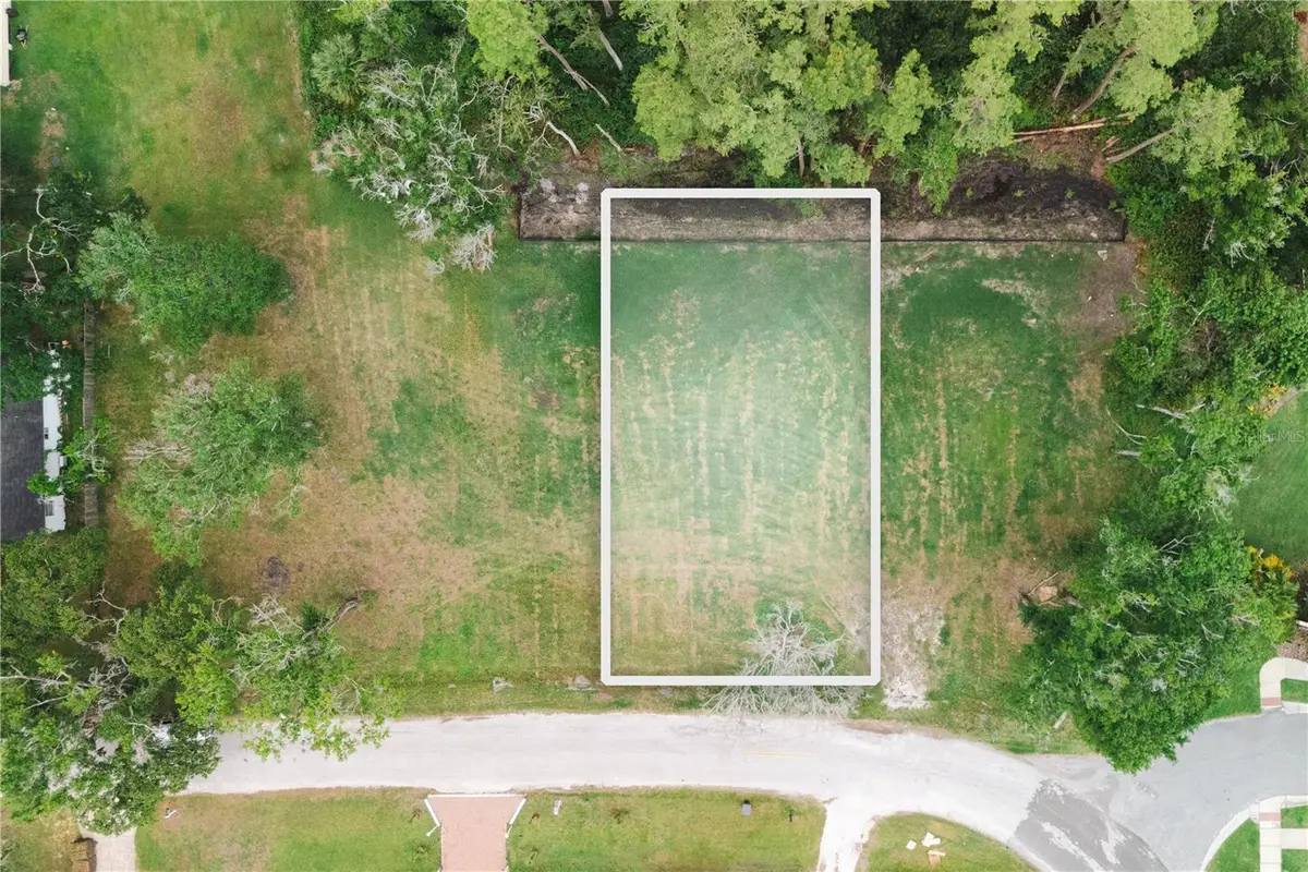 7303 Avonwood Street, Tampa, FL 33625 - Image #1