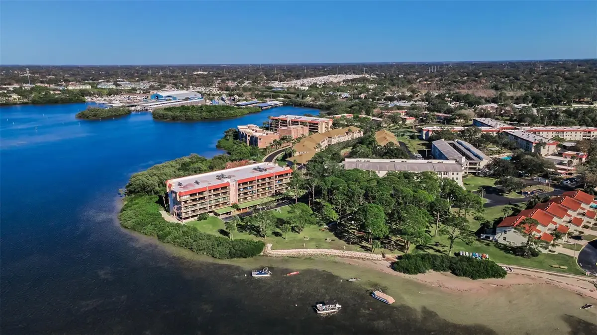 2700 Bayshore Boulevard #11-209, Dunedin, FL 34698 - #1