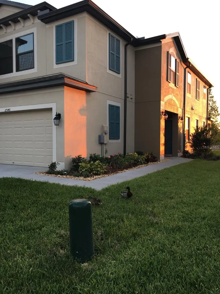 11540 Crowned Sparrow Lane, Tampa, FL 33626 - Image #2