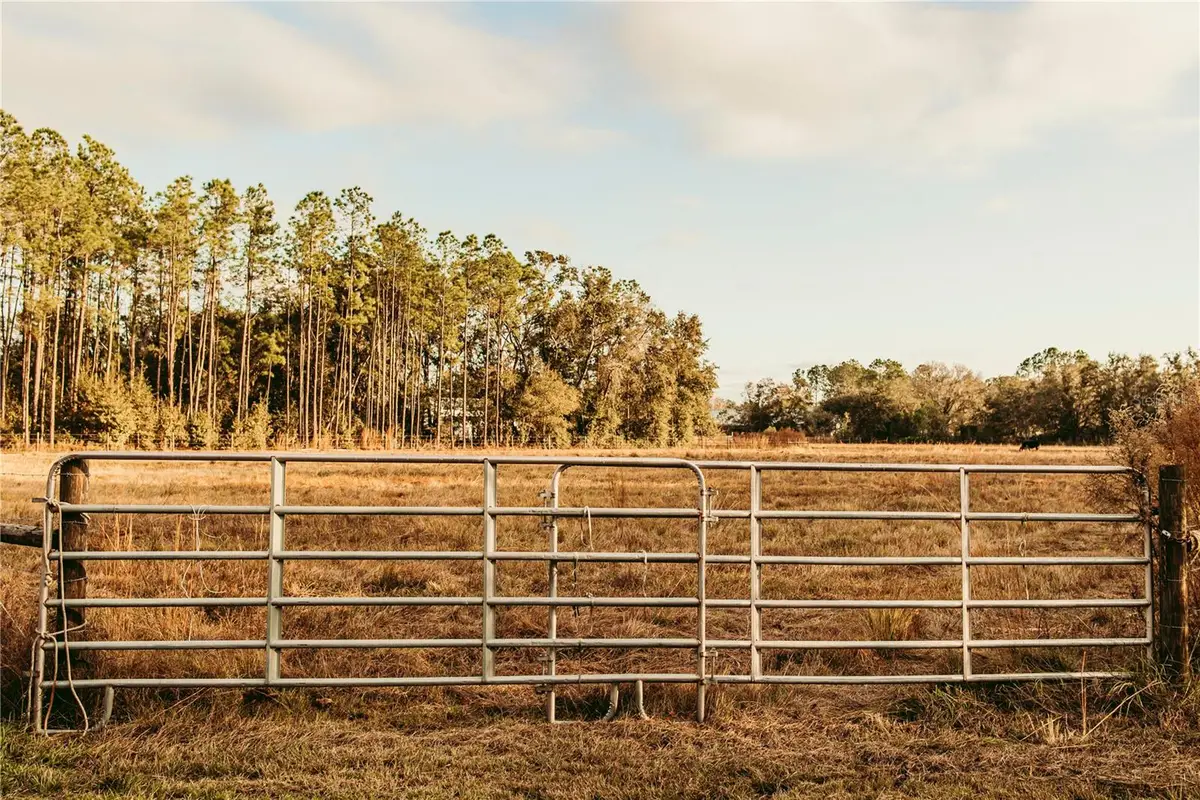 5812 N Dormany Road, Plant City, FL 33565 - #1