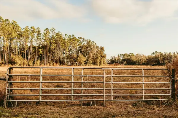 5812 N Dormany Road, PLANT CITY, FL 33565