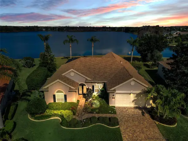 1739 Daylily Drive, TRINITY, FL 34655