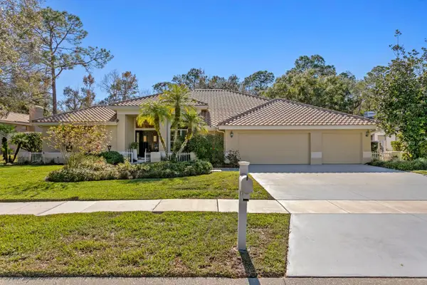 4917 Londonderry Drive, TAMPA, FL 33647
