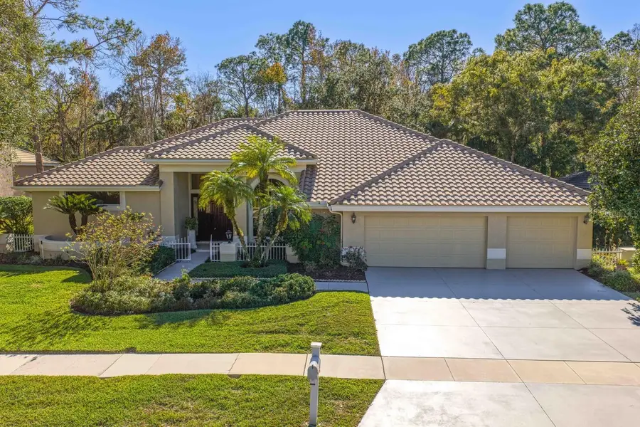 4917 Londonderry Drive, Tampa, FL 33647 - Image #3
