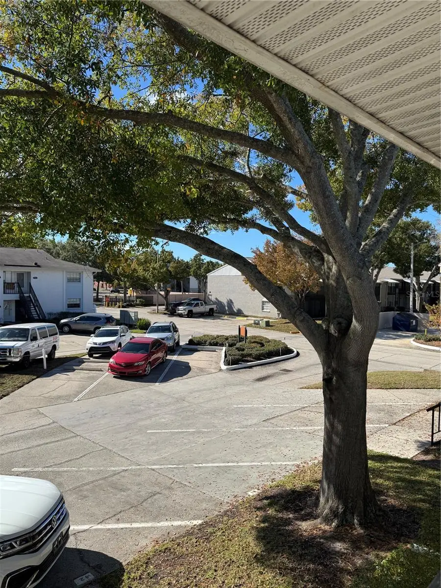 4506 S Oak Drive #S42, Tampa, FL 33611 - Image #2