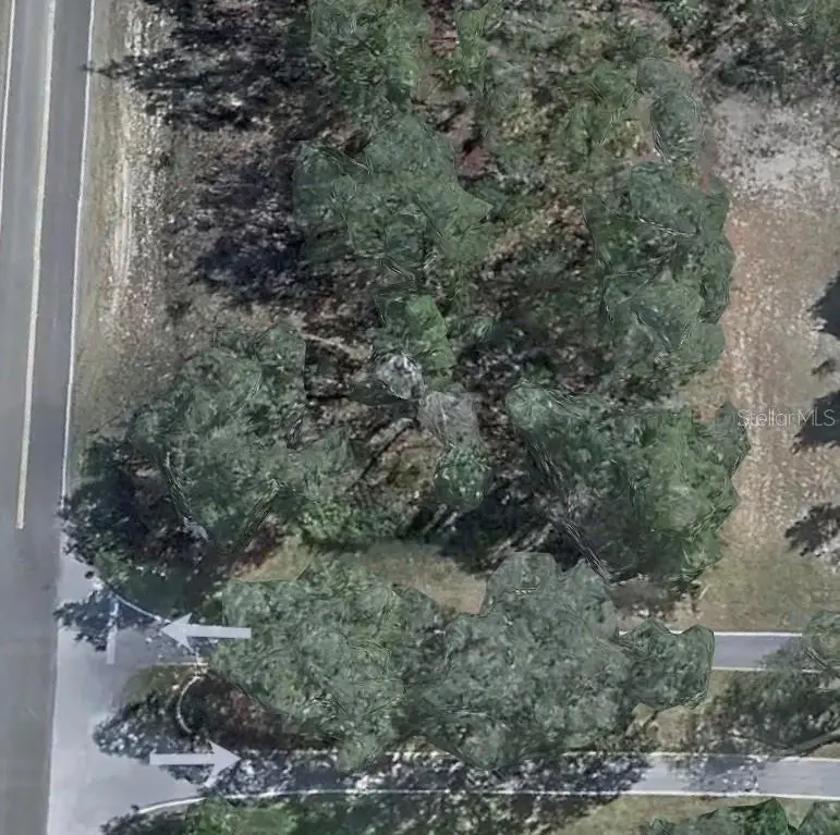 118 Oak Village Boulevard, Homosassa, FL 34446 - Image #2