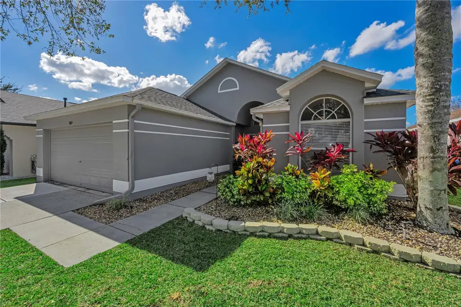 3809 Judson Drive, Land O Lakes, FL 34638 - Image #3