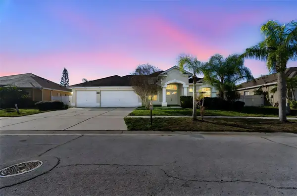 12003 Pennfield Place, RIVERVIEW, FL 33579