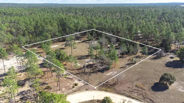 5555 N Muslin Terrace, DUNNELLON, FL 34433