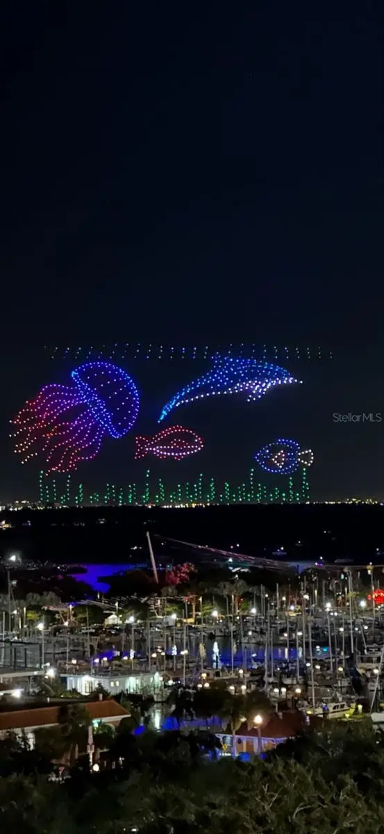 175 1st Street S #1008, Saint Petersburg, FL 33701 - Image #3