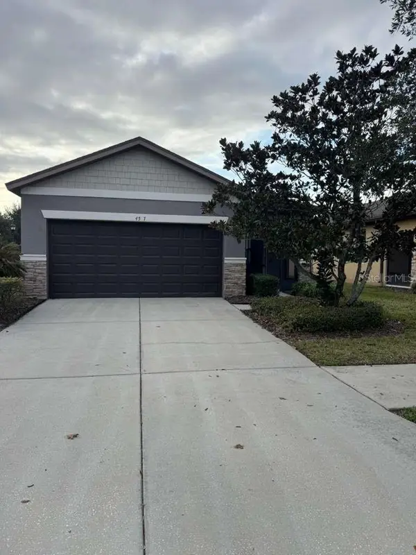 4517 Paper Mulberry Place, RIVERVIEW, FL 33578