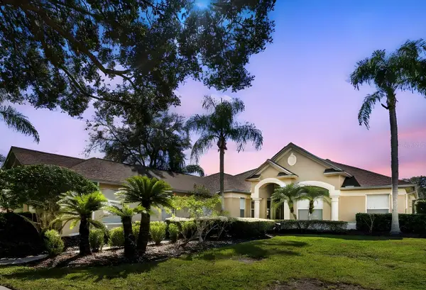 19103 Centre Rose Boulevard, LUTZ, FL 33558