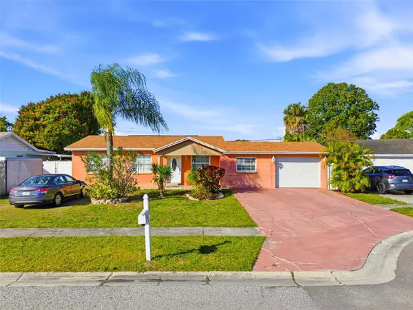 4914 Holiday Drive, TAMPA, FL 33615