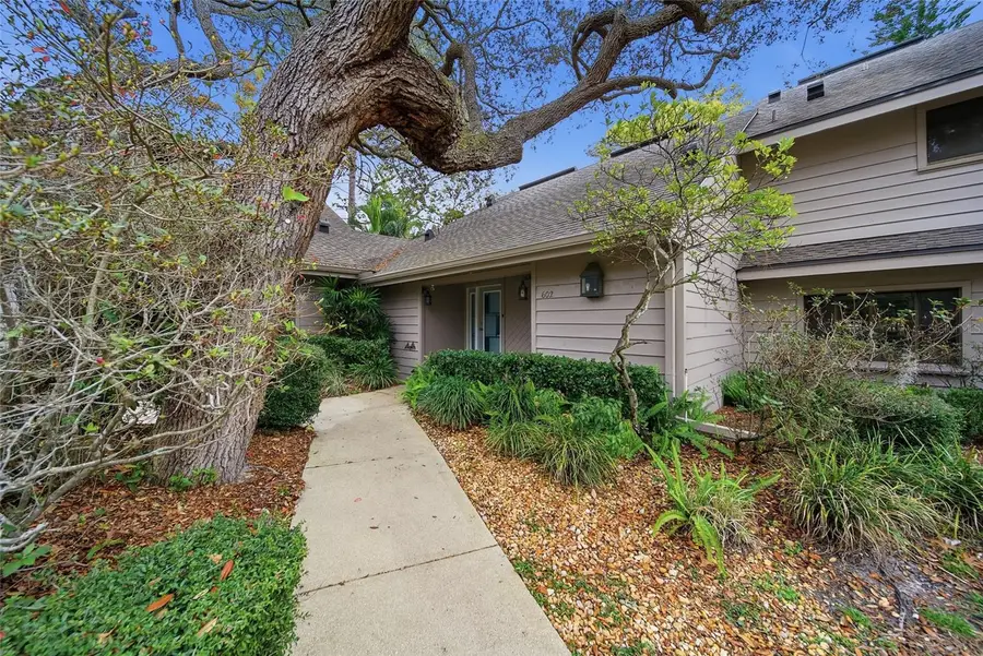 602 Old Mill Pond Road, Palm Harbor, FL 34683 - Image #2