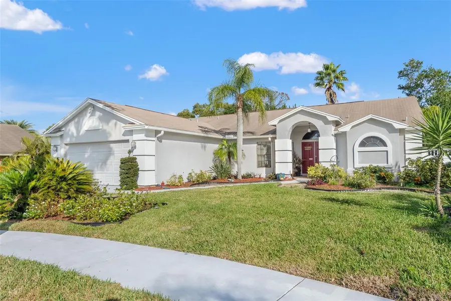 13732 Triumph Court, Hudson, FL 34667 - #2